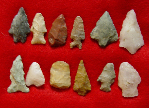 Lot bird point - of, 12