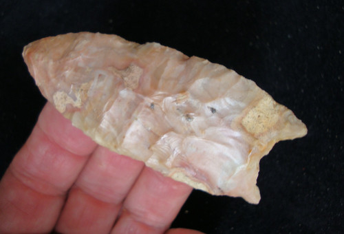 Super rare paleo wheeler - super,