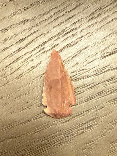 Authentic prehistoric dalton - prehistoric,